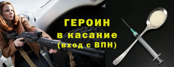 гашик Алексин