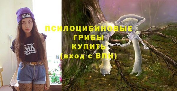 героин Алзамай