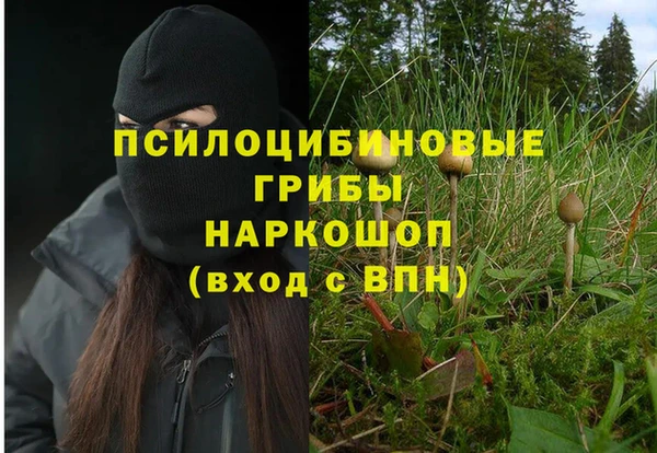 героин Алзамай