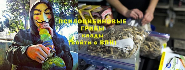 гашик Алексин