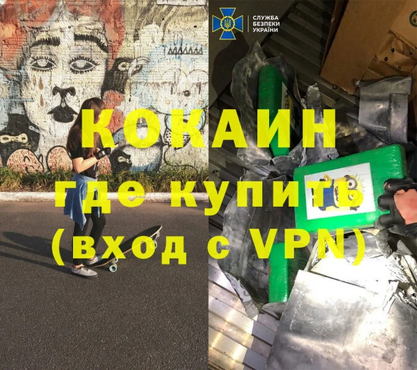гашик Алексин