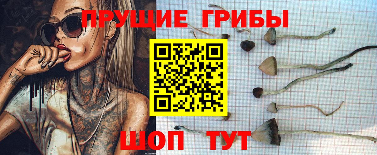 Галлюциногенные грибы прущие грибы Тосно