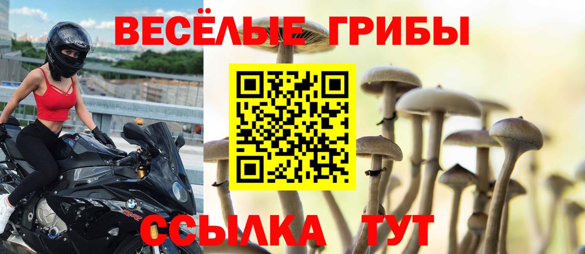Галлюциногенные грибы Psilocybe  купить  цена  Тосно  Вход с VPN 